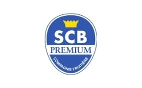 SCB